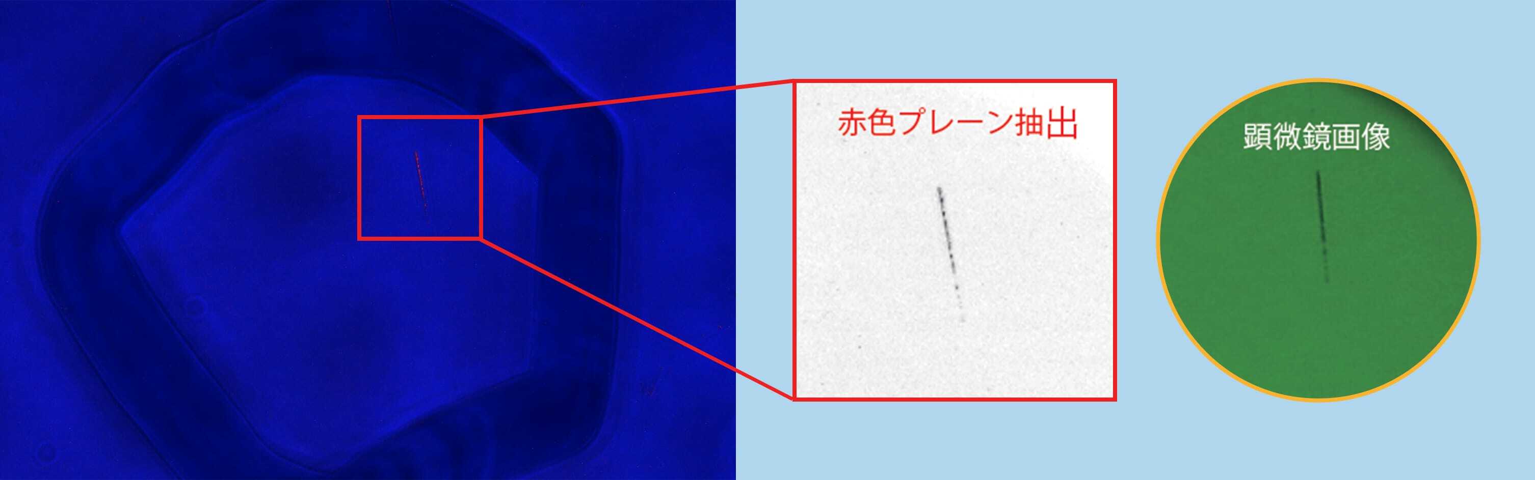 レンズ探傷スコープ